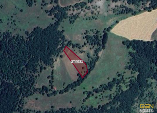 4-KARAMÜRSEL TAHTALI KÖYÜN'DE 24.287M2 SATILIK ARAZİ